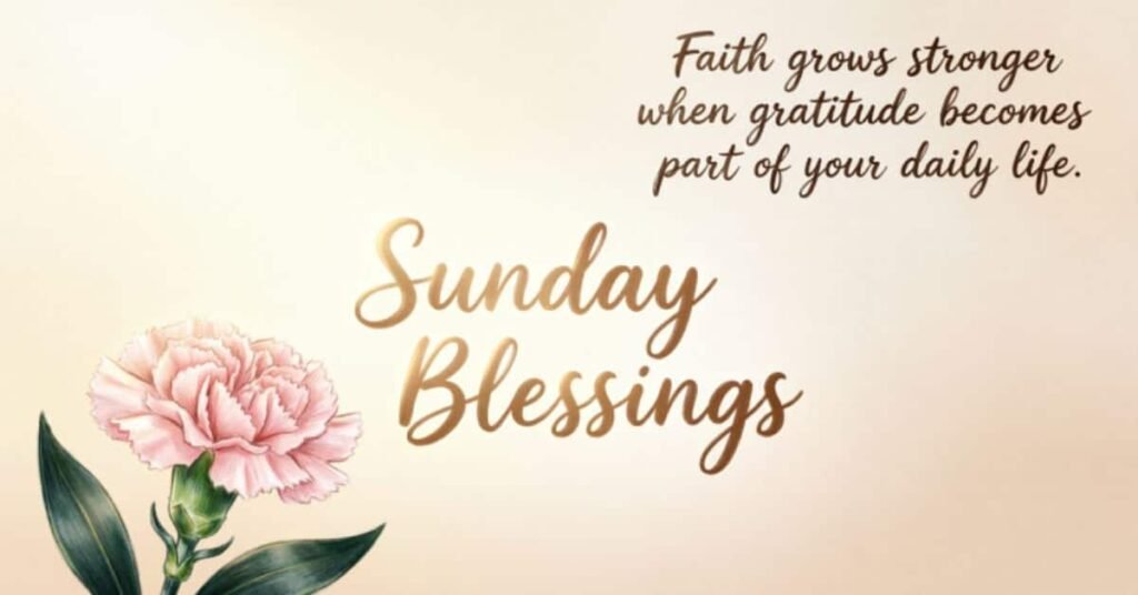 Sunday blessings quote with a pink carnation and the message, “Faith grows stronger when gratitude becomes part of your daily life.