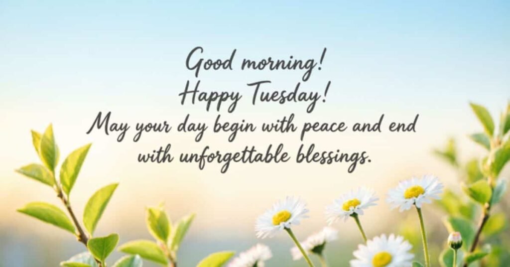 Good Morning Happy Tuesday image featuring white daisies, fresh green leaves, and a soft sunrise background with an inspirational blessing wishing peace, happiness, and unforgettable blessings throughout the day.