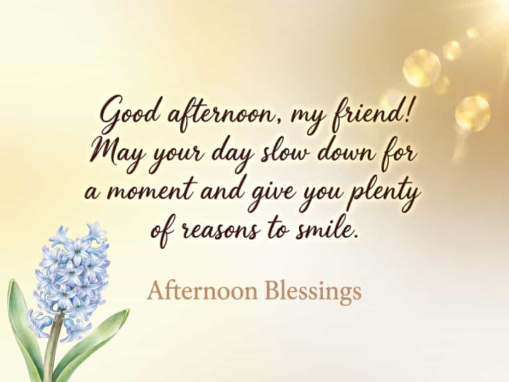 Good afternoon blessings quote for a friend with a blue flower, wishing a peaceful day filled with reasons to smile.