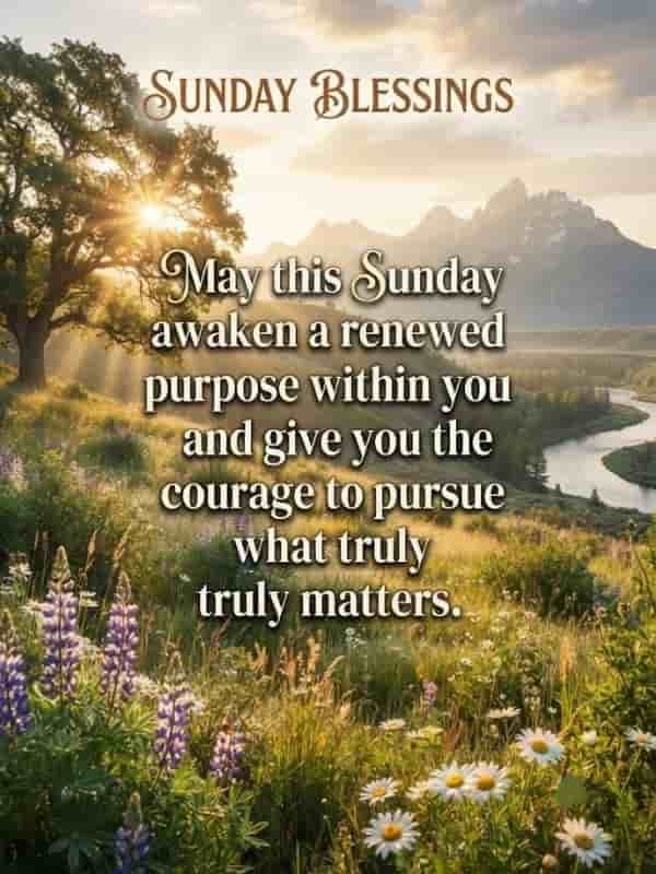An inspirational Sunday blessings image featuring a serene sunrise over a misty mountain landscape, a flowing river, blooming wildflowers, and bold text that reads 'SUNDAY BLESSINGS' and 'May this Sunday awaken a renewed purpose within you and give you the courage to pursue what truly matters.