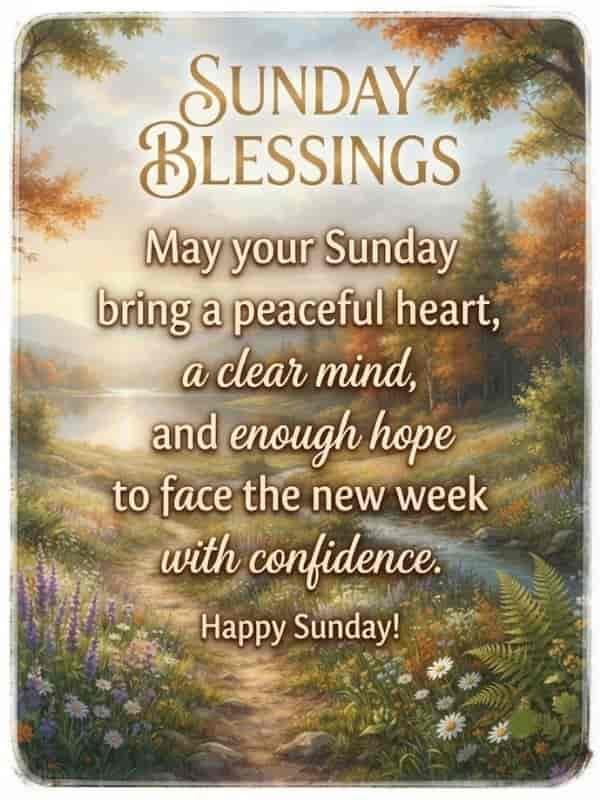 A scenic digital painting featuring a peaceful winding path through a colorful meadow filled with wildflowers, a serene lake, and autumn trees, with the text 'SUNDAY BLESSINGS' and 'May your Sunday bring a peaceful heart, a clear mind, and enough hope to face the new week with confidence. Happy Sunday!