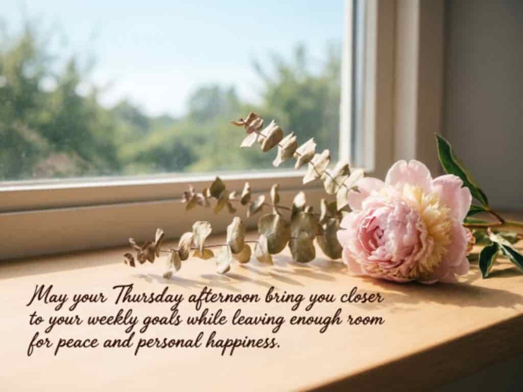 Thursday afternoon blessings quote with a pink flower by a sunny window, wishing progress toward weekly goals, peace, and personal happiness.