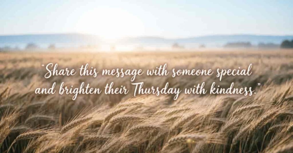 Thursday blessing image featuring a golden field at sunrise with a message encouraging you to share kindness and brighten someone special’s Thursday.