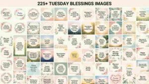 A grid-style compilation of Tuesday blessing cards featuring floral borders, soft pastel colors, serene landscapes, and inspirational quotes, prayers, and wishes "Tuesday Blessings Images".