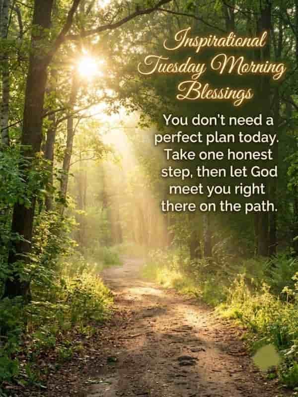 A forest trail bathed in golden morning sunlight filtering through trees, featuring the text "Inspirational Tuesday Morning Blessings" and "You don't need a perfect plan today. Take one honest step, then let God meet you right there on the path."