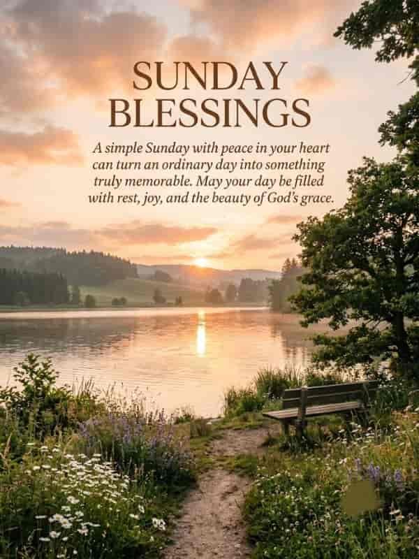 A serene morning landscape featuring a lake and wildflowers, overlaid with the text "Sunday Blessings: A simple Sunday with peace in your heart can turn an ordinary day into something truly memorable. May your day be filled with rest, joy, and the beauty of God’s grace."