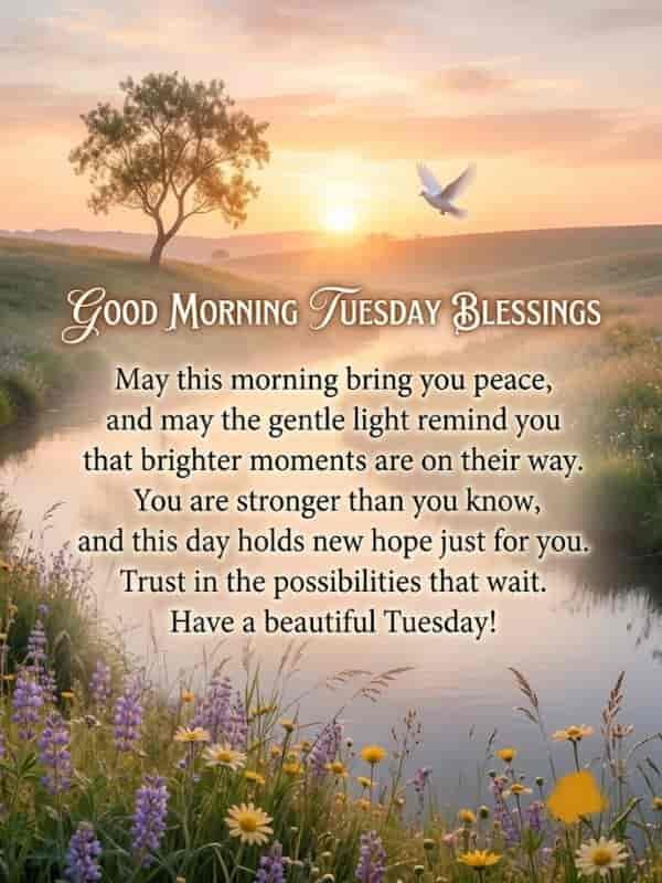 A sunrise over a peaceful lake surrounded by wildflowers and a dove in flight, featuring the text "Good Morning Tuesday Blessings" and a prayer offering hope and encouragement.